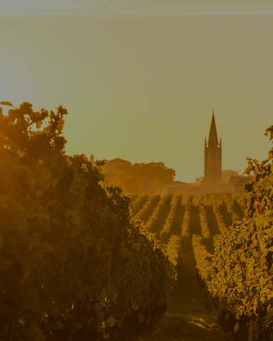 Vins de Bordeaux