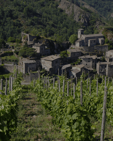 Vins du Rhône