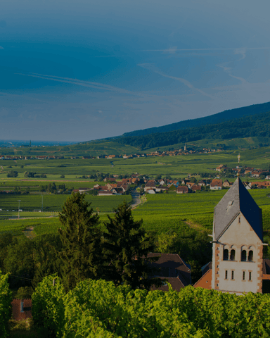 Vins d'Alsace