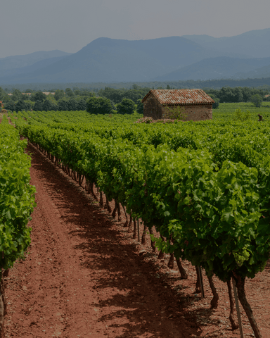 Vins de Provence